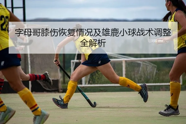 字母哥膝伤恢复情况及雄鹿小球战术调整全解析